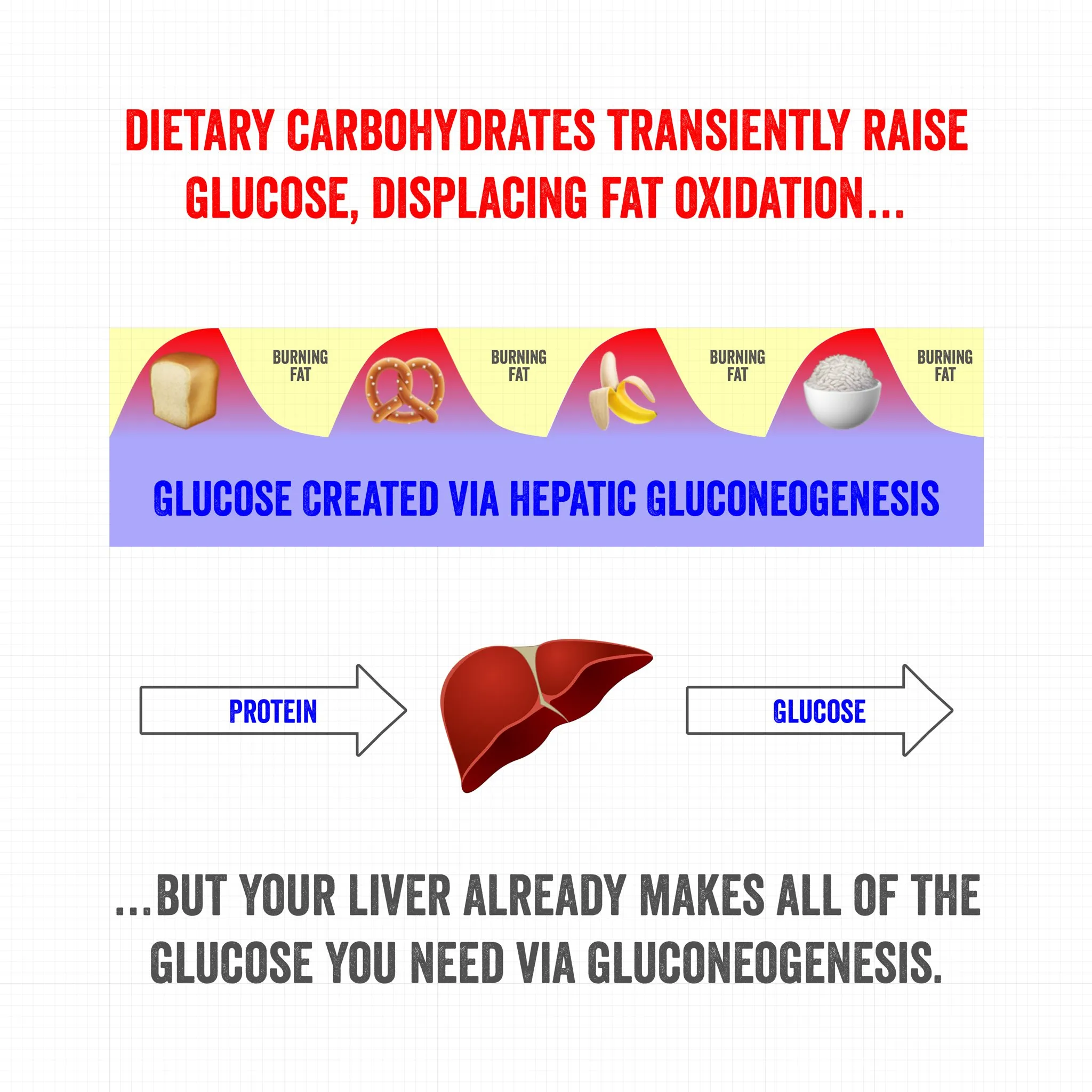 Carbohydrates Displace Fat Oxidation